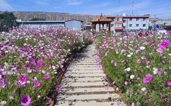 videos gratjs欧美另类